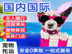 呼伦贝尔机场快递国际宠物托运 【国